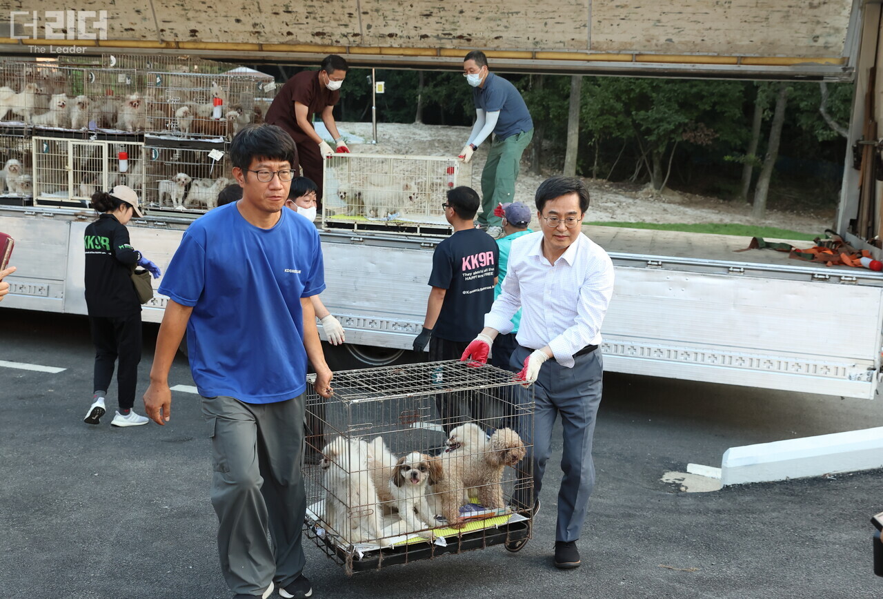김동연(오른쪽) 경기지사가 2일 ‘경기 반려마루’에서 생존 동물 구출·이송을 돕고 있다(사진= 경기도청 제공). 이호진 기자